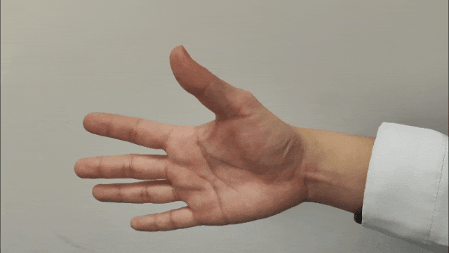 800000193.gif