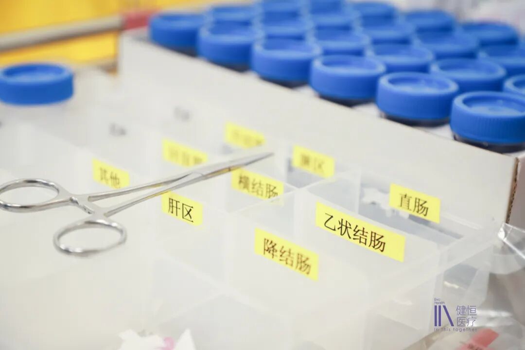 /uploads/image/2025/11/07/2200000202.jpeg 2200000202.jpeg